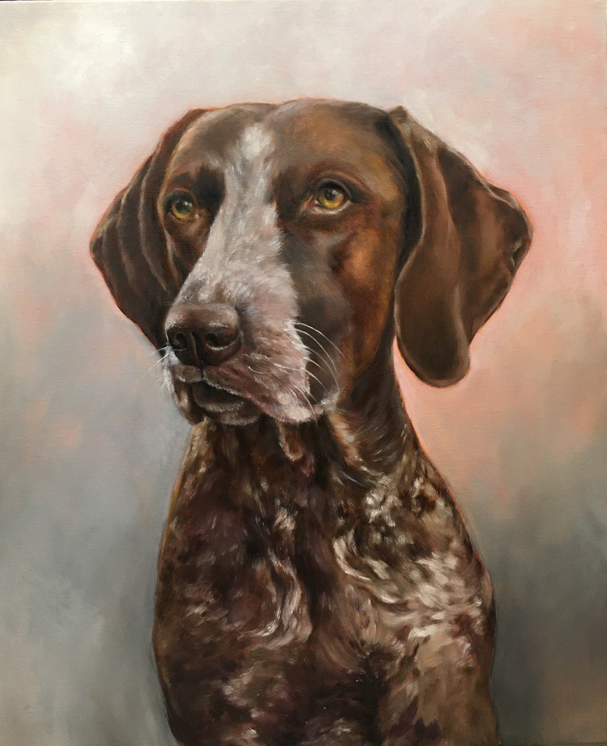 Pet Portrait