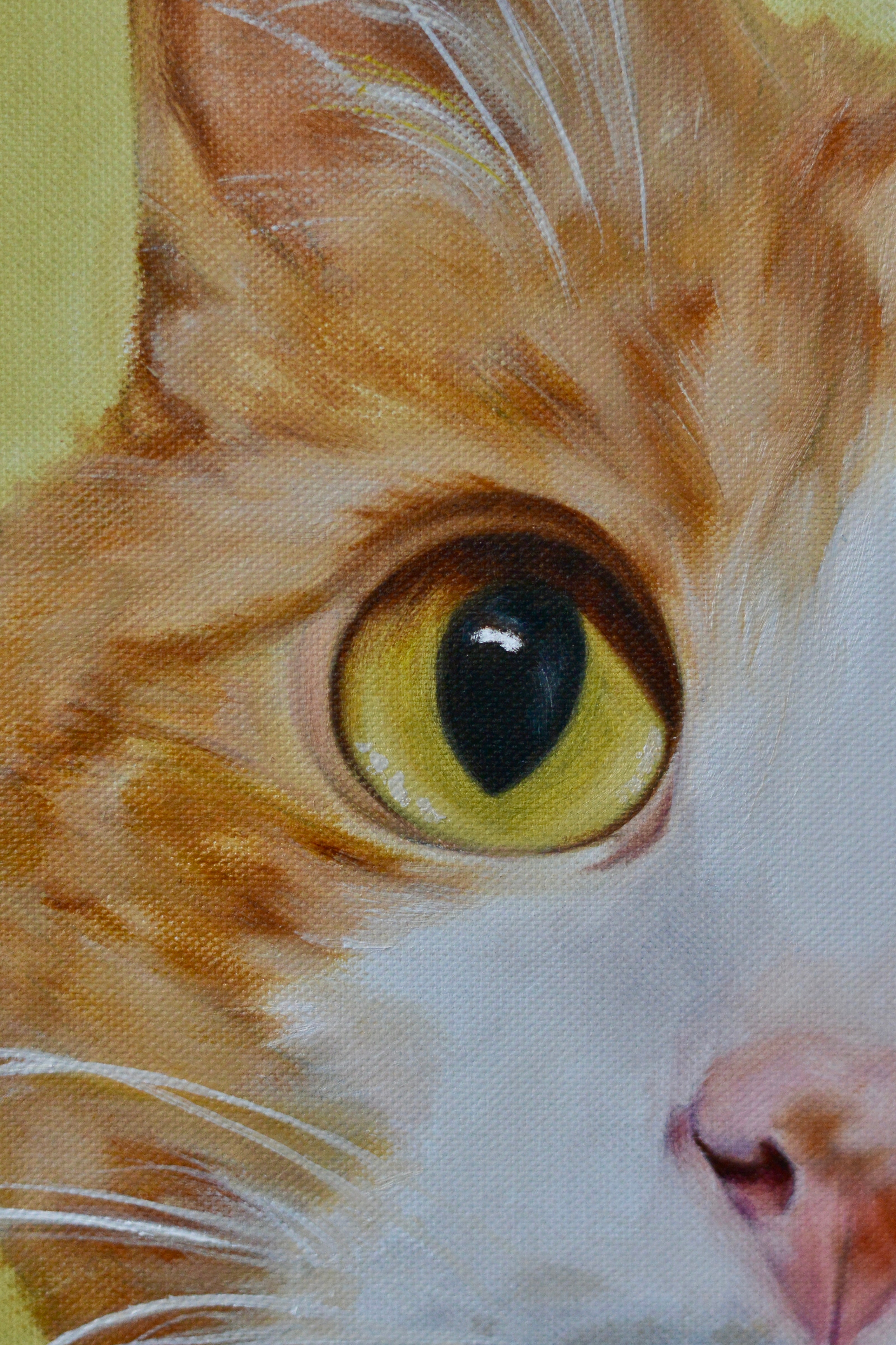 Cat Portrait