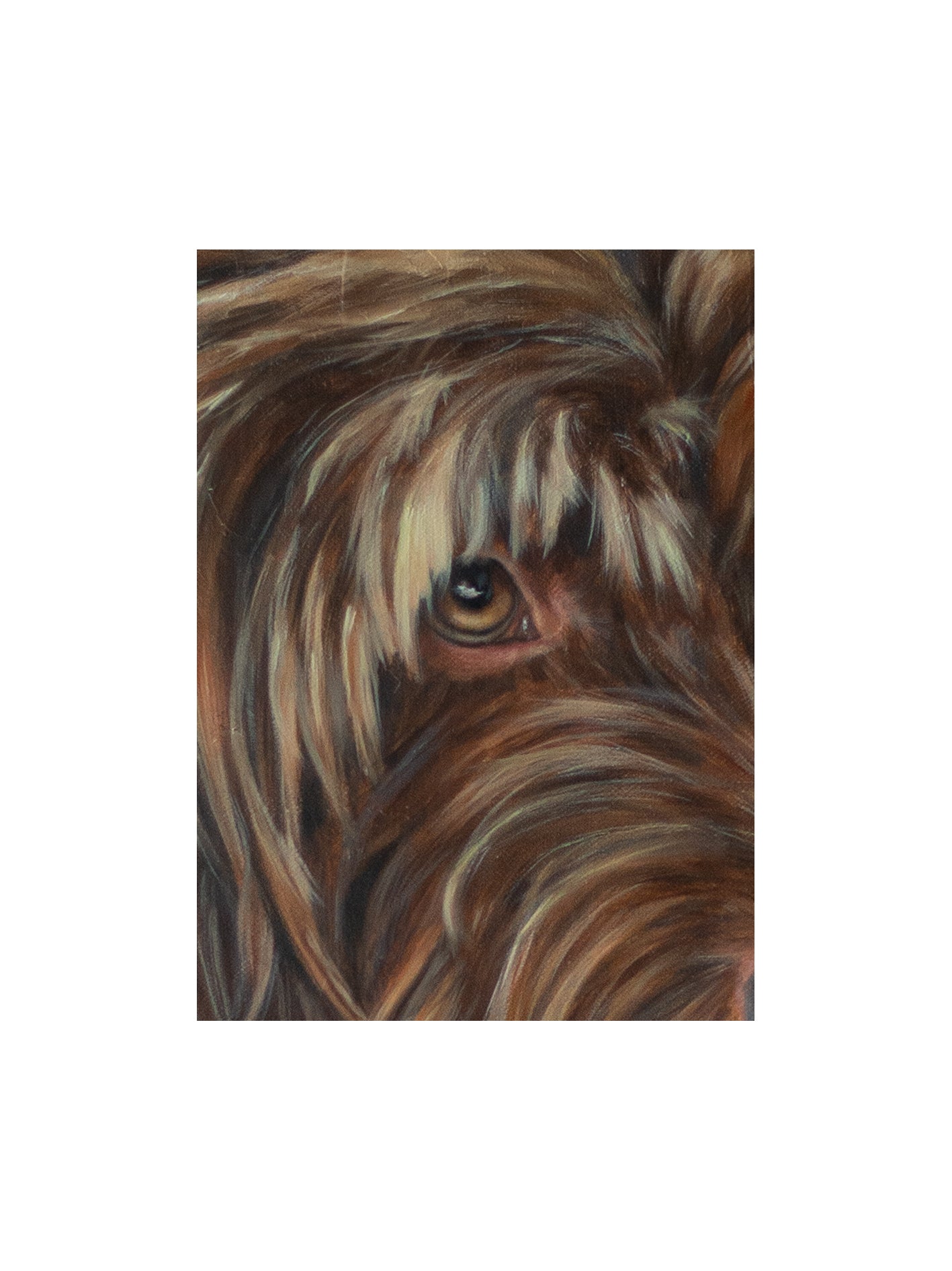 Abstraction Pet Portrait