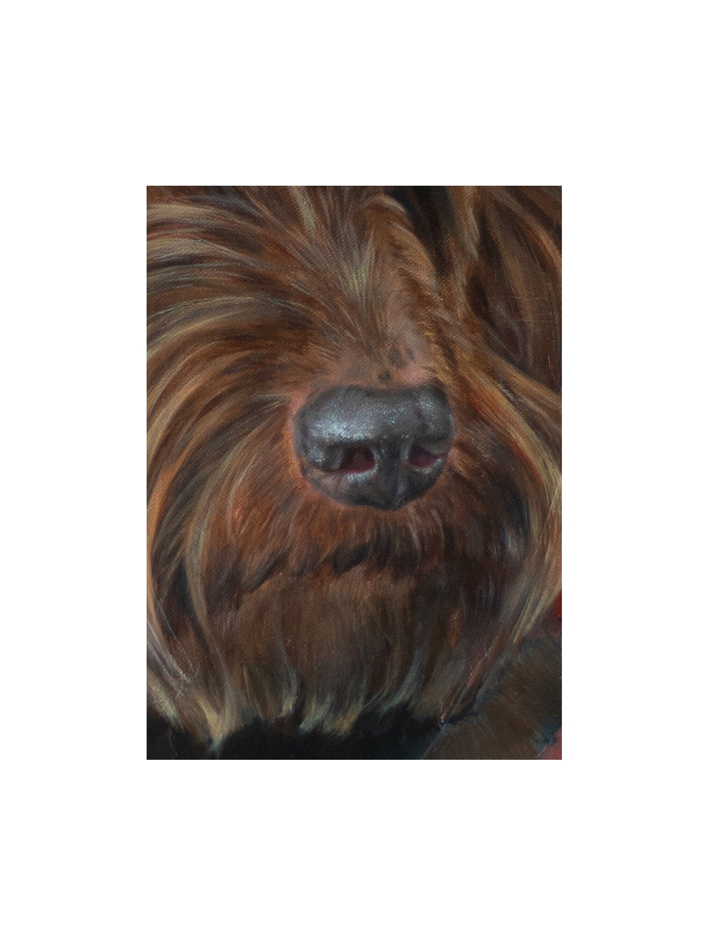 Abstraction Pet Portrait